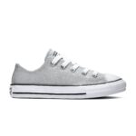 Converse All Stars Chuck Taylor 666896C Zilver / Diamant-30