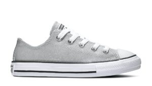 Converse All Stars Chuck Taylor 666896C Zilver / Diamant-30